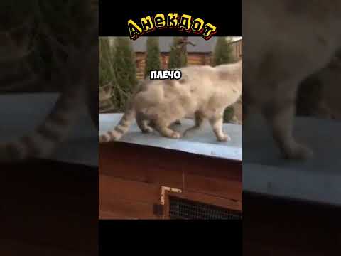Смешной Анекдот. Время нет. #анекдот #юмор #шутки #прикол #смех #shorts #ржака #топ