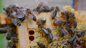 Infographic—Reviewing Student Work to Check That All Criteria are Met — 2D Design, Art Fundamentals