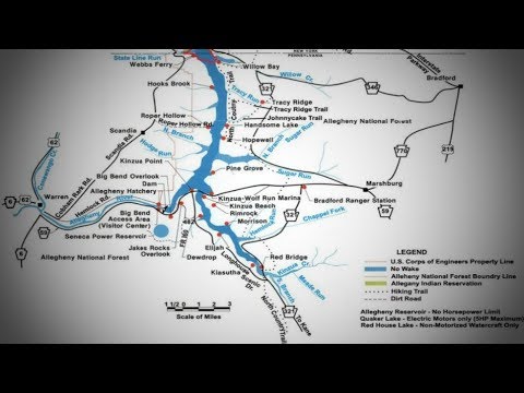 Video: Allegheny National Forest: la guida completa