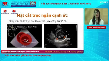 TS. Nguyễn Thị Hải Yến - Siêu âm tim cấp cứu tại giường