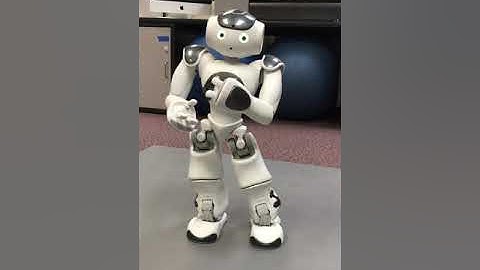 Blake and Andrew NAO Programming