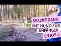 Hundespaziergang für Anfänger - Gassi gehen mit Miley leicht gemacht