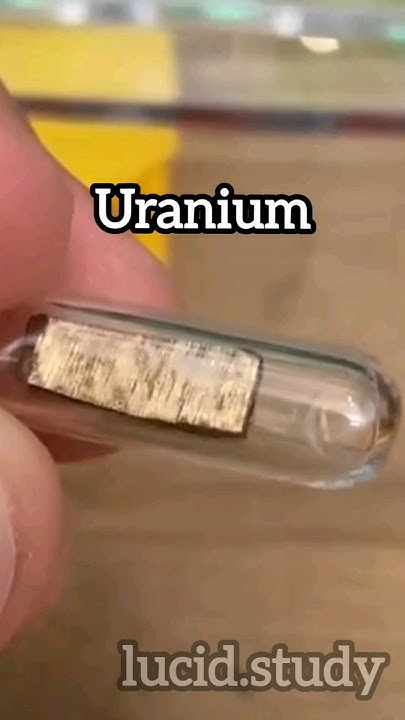 uranium-is-one-of-the-most-dangerous-element-in-the-periodic-table