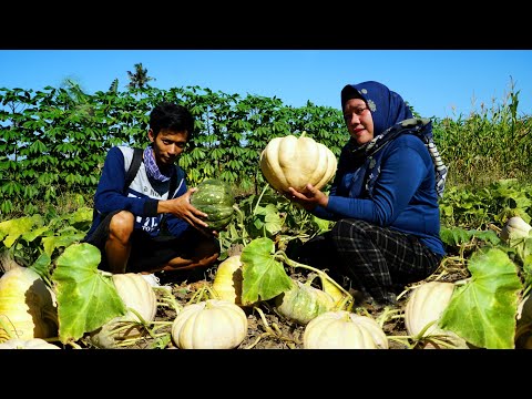 Video: Cara Memasak Kubete - Pai Tatar Dengan Daging Dan Kentang