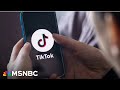 House swipes up on bill to ban TikTok, future in Senate remains uncertain