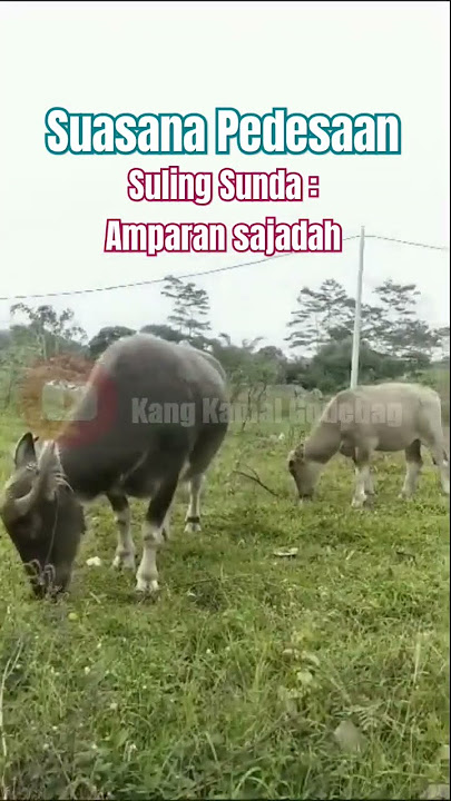 Suasana Pedesaan | Suling Sunda Amparan Sajadah cover