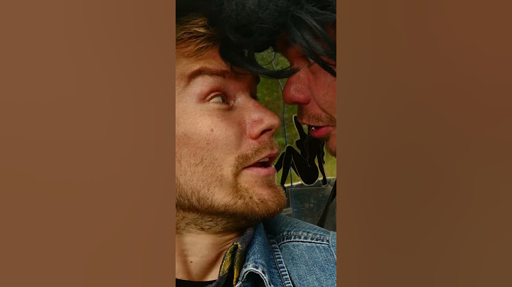 Melkein sama -  BIISONIMAFIA #shorts #humor