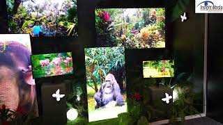 Samsung Display Explains QD OLED Display Upgrades at CES 2025