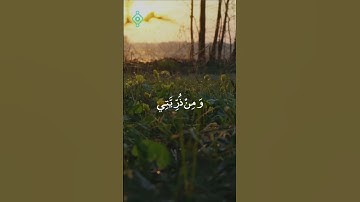 🎧 تلاوة مؤثرة من سورة إبراهيم | رب اجعلني مقيم الصلاة بصوت سعد الغامدي 🌿