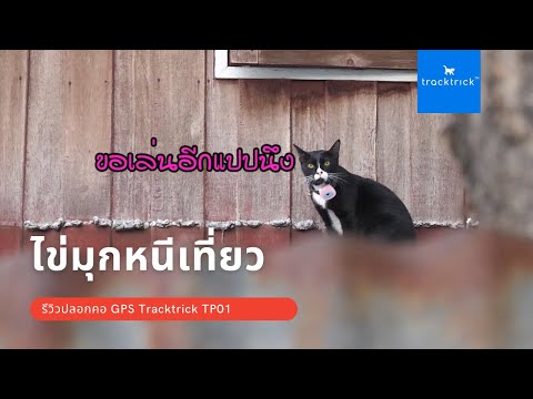 รีวิวปลอกคอ GPS Tracktrick TP01 - ไข่มุกหนีเที่ยว