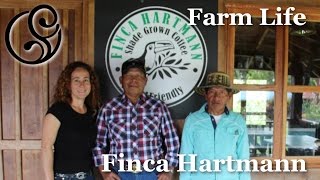 From Panama to Perth - Finca Hartmann - Coffeefusion
