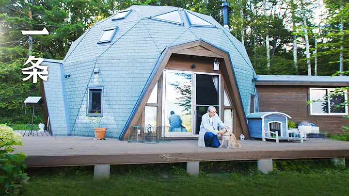 他在森林造50㎡巨蛋形房子  Japanese Photographer’s 50-m2 Dome House with 22 Windows - DayDayNews