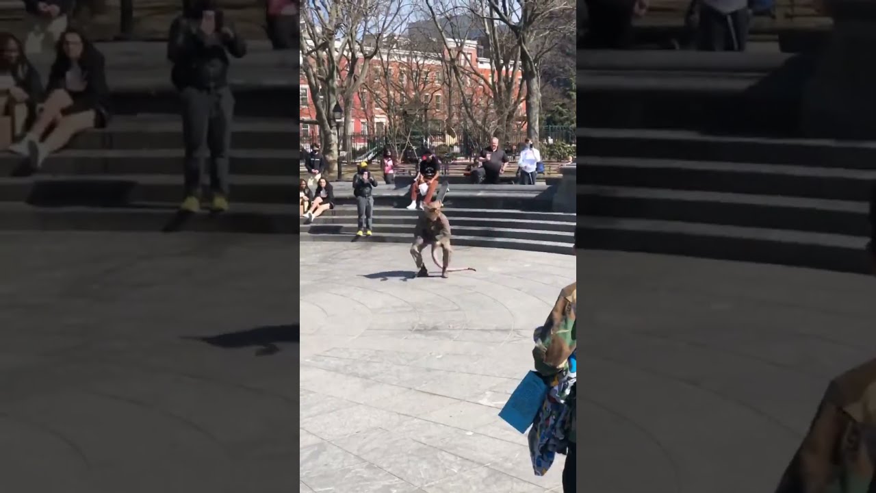 Your 5th Has To Jump Over 3rd Tag Them BrianMcKenna Buddytherat Skate