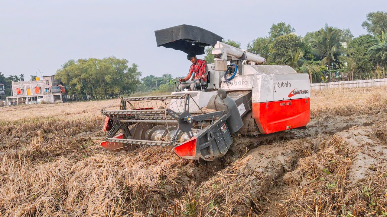 Kubota Harvester King 2 Deep Mud Paddy Cutting