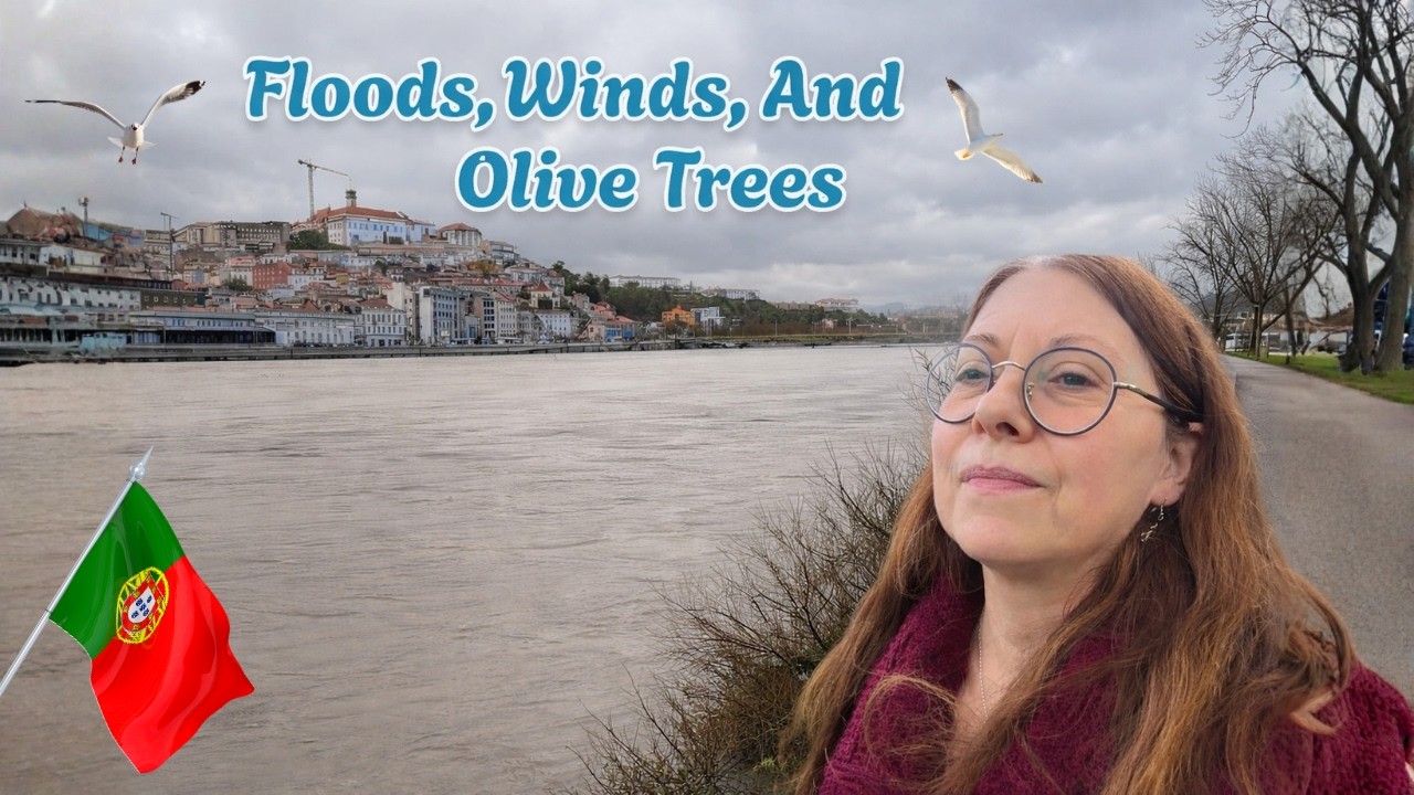 Flooded Roads & Olive Trees | Portugal Storm Vlog | Miranda do Corvo