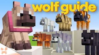 ULTIMATE MINECRAFT 1.21 DOG GUIDE - Secret Locations, How To Find, Dog Armor, &amp; More