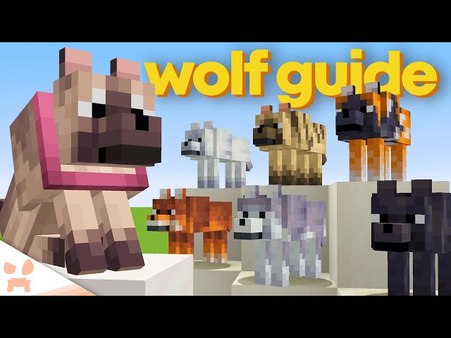 Dog Breeds in Minecraft: Fact or Fiction? 3 sddefault