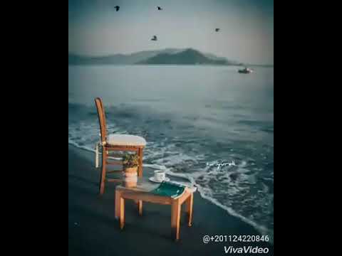 تامر حسني واحشني صوتة حالة واتس جديدة