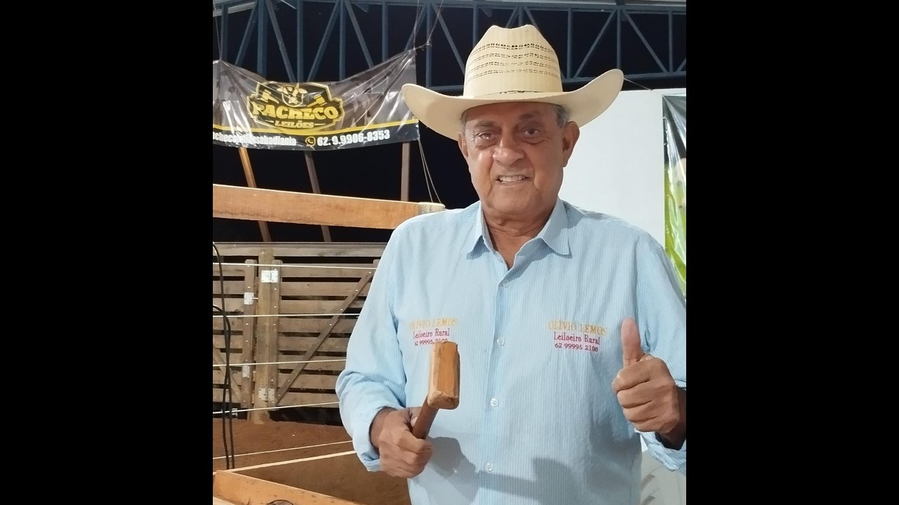 PACHECO LEILÕES - ABADIÂNIA - GO - 06/03/2026