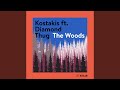 The woods radio edit