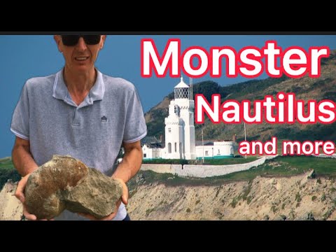 Fossil Hunting Nautilus, Episode 36