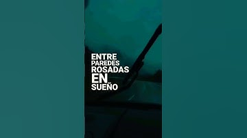 Thumbnail of La magia de tus besos... grupo Niche