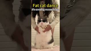 Танец Толстого Кота