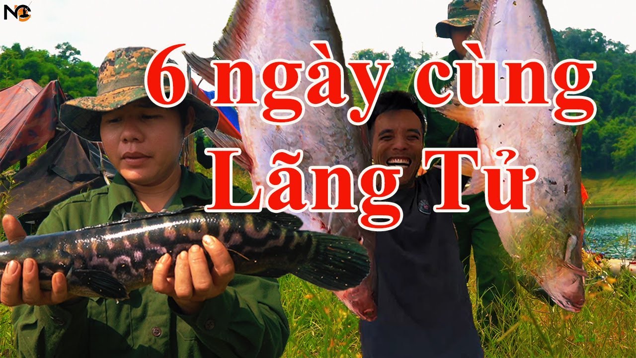 Hành trình câu cá lóc bông Tà Đùng Phước Hòa 6 ngày cùng Lãng Tử