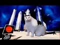 Cat Rockets To Mars On SpaceX Starship Mars Mission Cat Rockets To Mars On SpaceX Starship Mars Mission