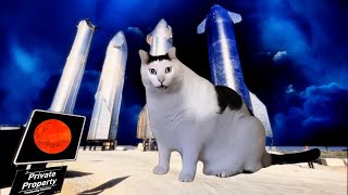 Cat Rockets To Mars On Spacex Starship Mars Mission