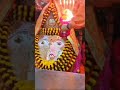 21 november 2023 morning darshan kalkamaai bhakti viral shortreels trending