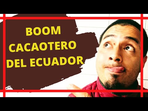 BOOM CACAOTERO del Ecuador 😋 ¿Causas y consecuencias? 🍫🍫 -historia del Ecuador-