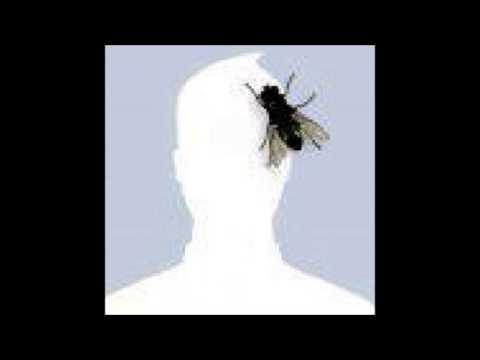 tsa manyalo - foromane