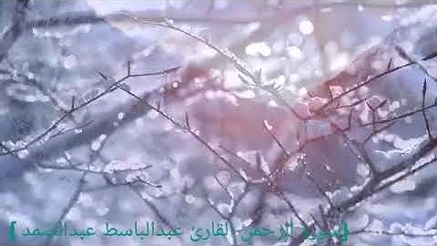 سورة الرحمن الشيخ حازم سيف الدين ناصر تلاوة خاشعة