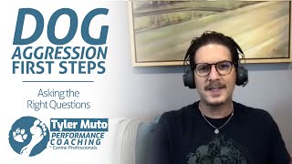 Dog Aggression First Steps | Asking the Right Questions by Tyler Muto 1,336 views 1 year ago 5 minutes, 42 seconds