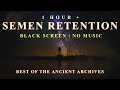 1 hour of semen retention  black screen  brown noise  ancient archives