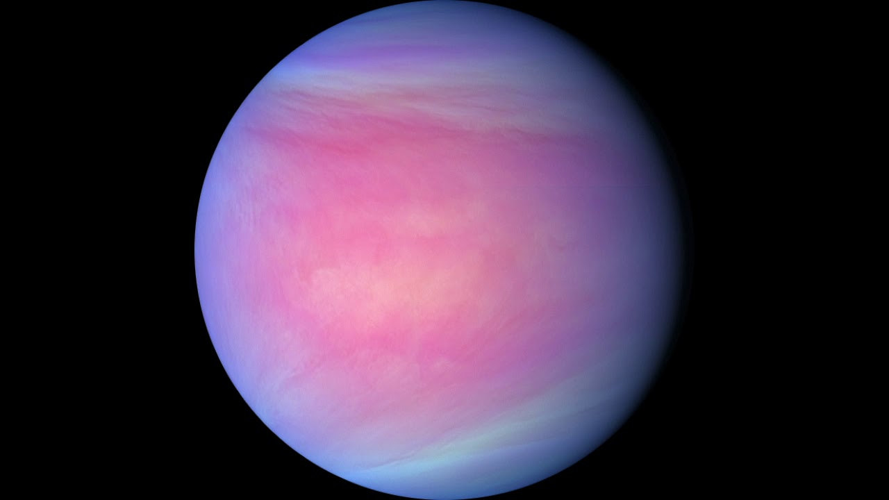 Venus2020 Venus2020