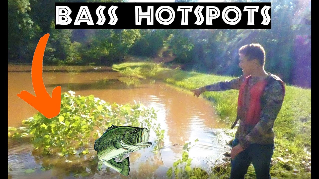 Bass Fishing HOT-SPOTS! (Building structure for your bass pond