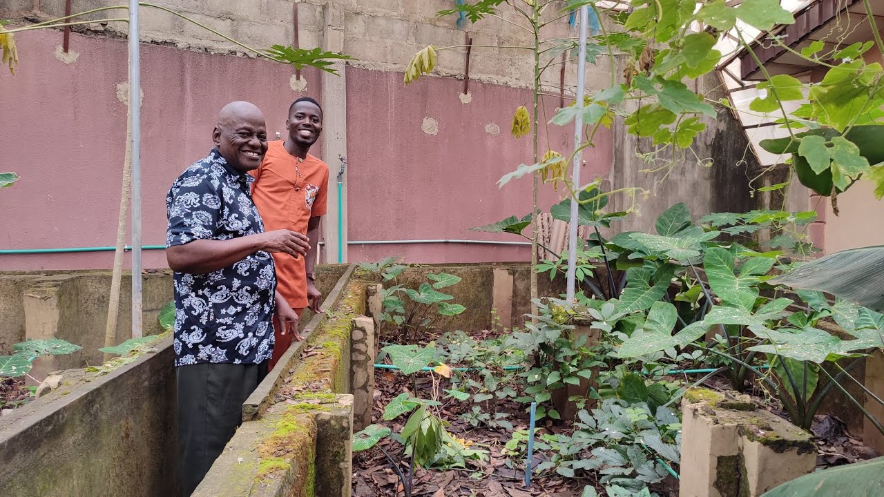 We Revived This Snail Farm in 2 Months!