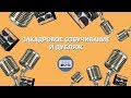 Навыки диктора. Илья Прудовский