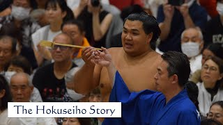 Hokuseiho: The giant who just stopped growing