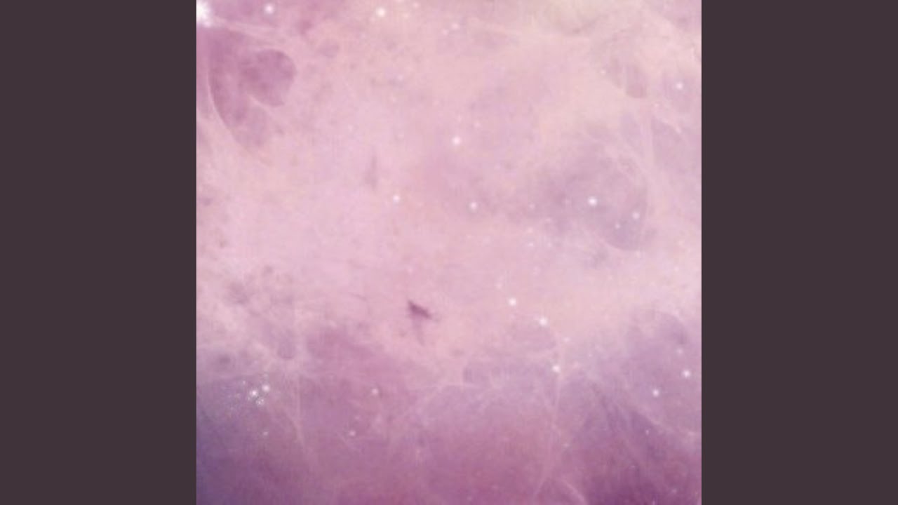 Memories found in a bill from a small animal vet