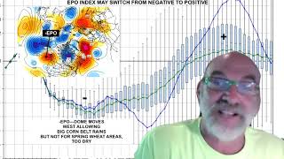 HOW WE CALLED THE COLLAPSE IN GRAINS, WHAT IS NEXT