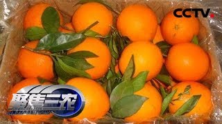 【Three Rural Issues】20171218 | CCTV Agriculture