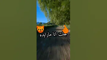 جابولي ماس ولولي 