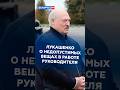 Лукашенко о недопустимых вещах в работе руководителя #лукашенко #беларусь #батька #первый #новости