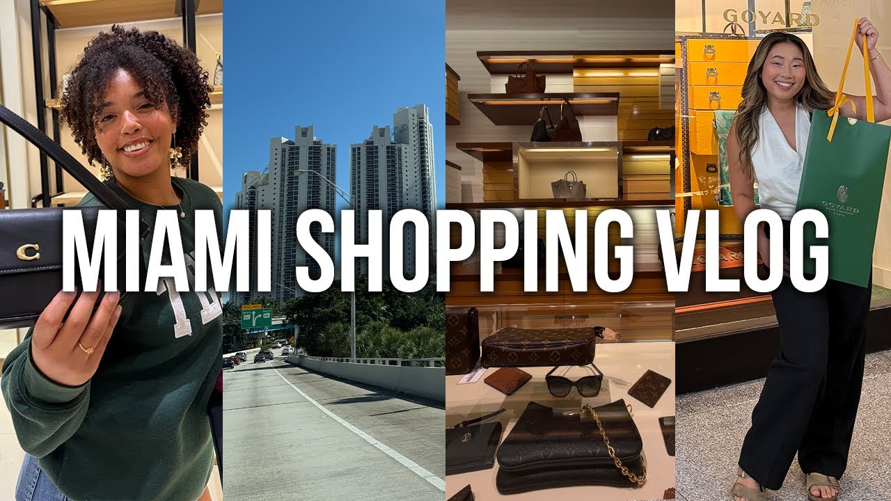 Видеоблог о шопинге в Майами: сумка-тоут Goyard St. Louis, Coach, Louis Vuitton, коты-машинки + н...