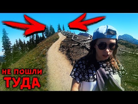 ПОЧЕМУ МЫ НЕ ПОШЛИ ТУДА.. УЛЕТЕЛИ В США Olympic National Park usa vlog
