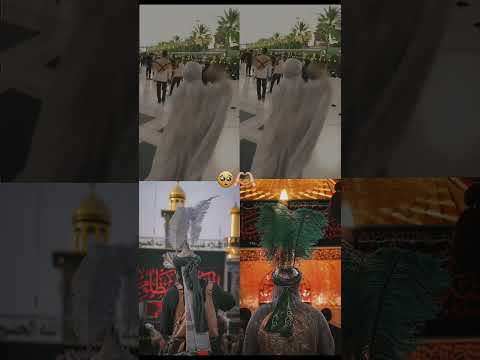 اكولون ليش من الصغر شيبك طلع بالرأس كت اني ياخلك جنني حب عباس