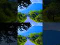 power of Nature #Shorts#viral update#